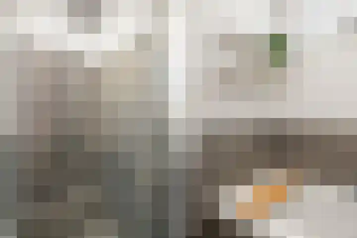 Van Tuyll van Serooskerkenweg 88 1 Amsterdam thumbnail 10
