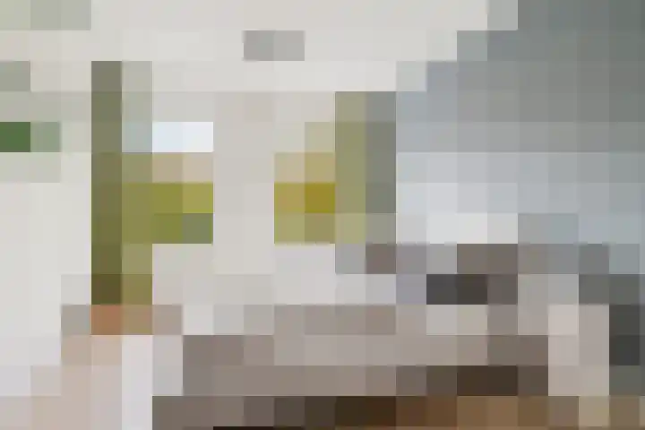 Van Tuyll van Serooskerkenweg 88 1 Amsterdam thumbnail 14