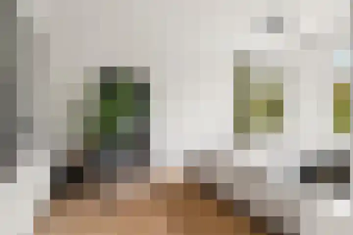 Van Tuyll van Serooskerkenweg 88 1 Amsterdam thumbnail 16
