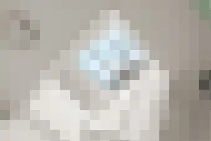 Van Tuyll van Serooskerkenweg 88 1 Amsterdam thumbnail 18