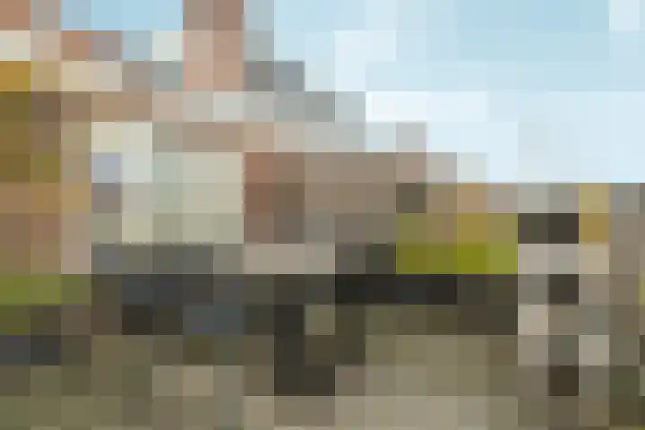 Van Tuyll van Serooskerkenweg 88 1 Amsterdam thumbnail 32