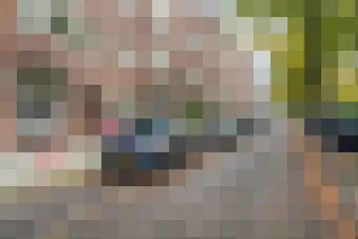 Van Tuyll van Serooskerkenweg 88 1 Amsterdam thumbnail 37