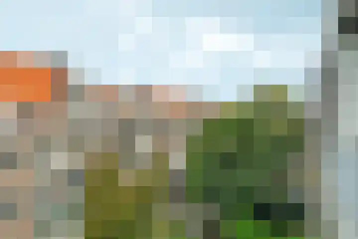 Van Tuyll van Serooskerkenweg 88 1 Amsterdam thumbnail 43