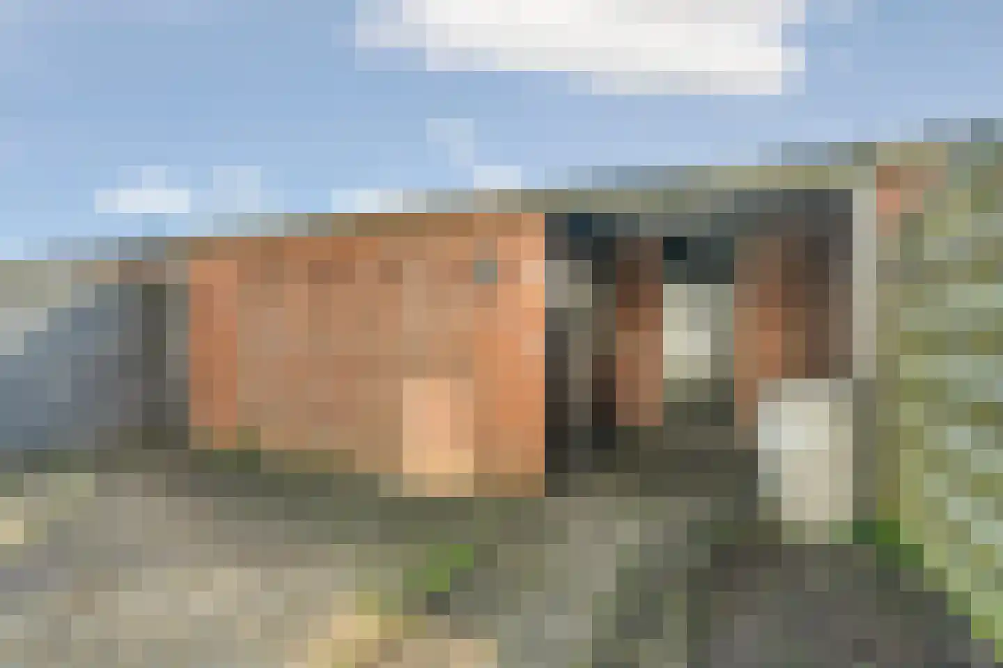 Van Tuyllplein 17 Doesburg thumbnail 33