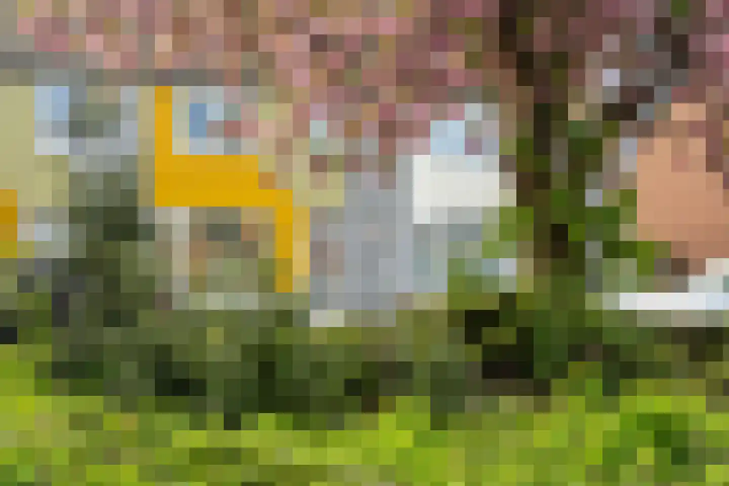 Van Tuyllplein 17 Doesburg thumbnail 39