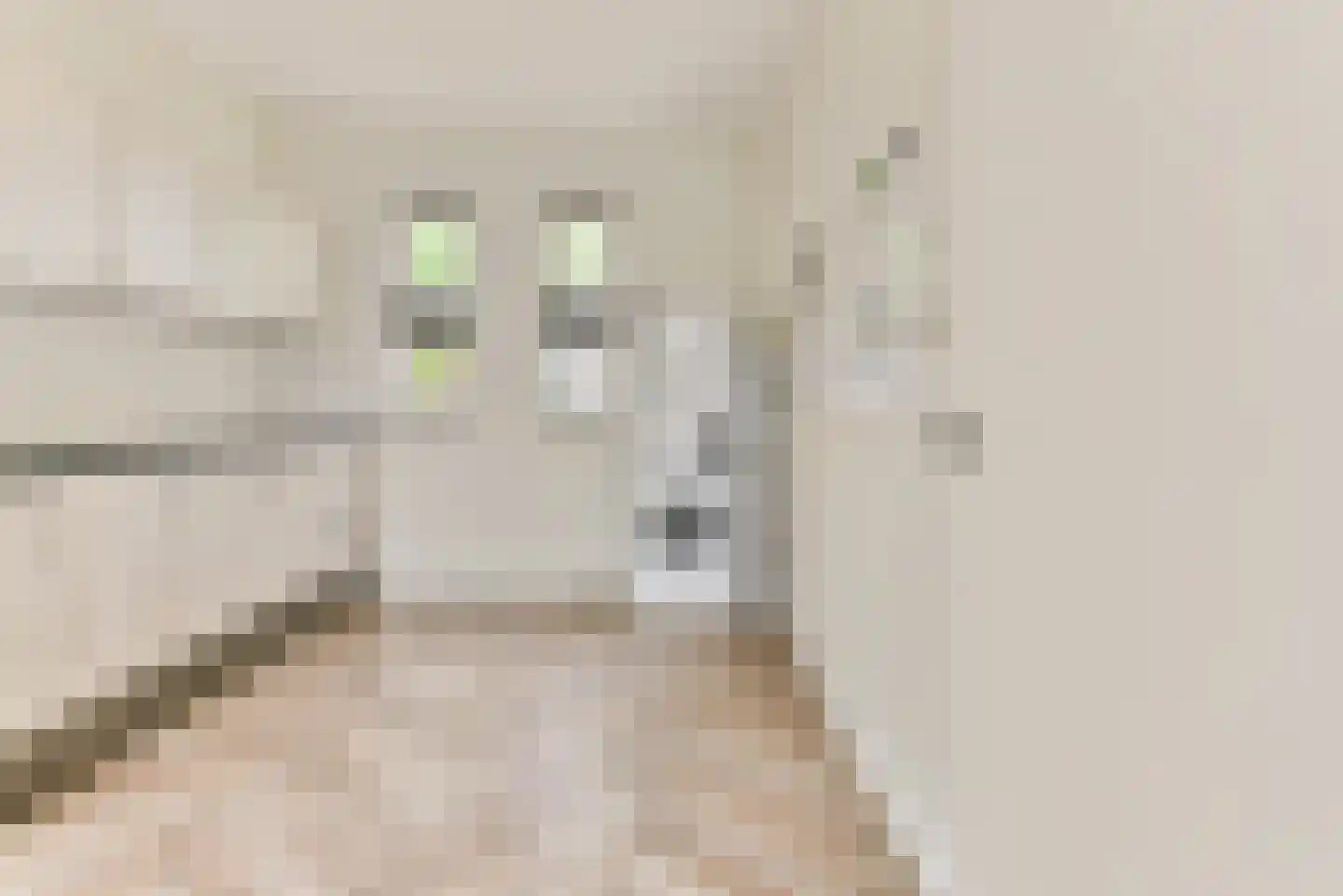 Van Tuyllstraat 17 C Hooglanderveen thumbnail 15
