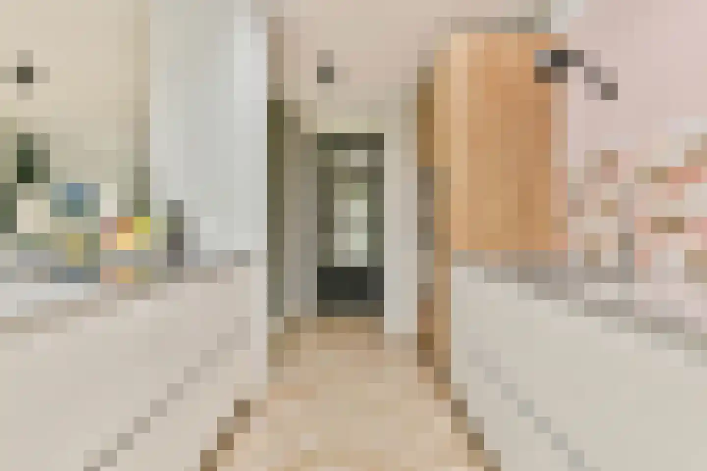 Van Tuyllstraat 17 C Hooglanderveen thumbnail 9