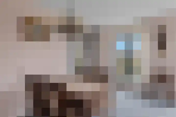 Van Tuyllstraat 25 L Hooglanderveen thumbnail 21