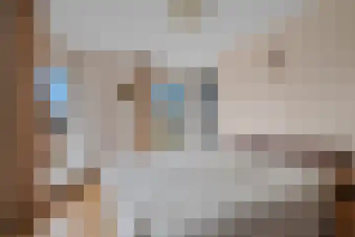 Van Tuyllstraat 25 L Hooglanderveen thumbnail 30