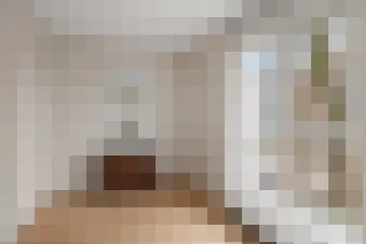 Van Tuyllstraat 25 L Hooglanderveen thumbnail 36