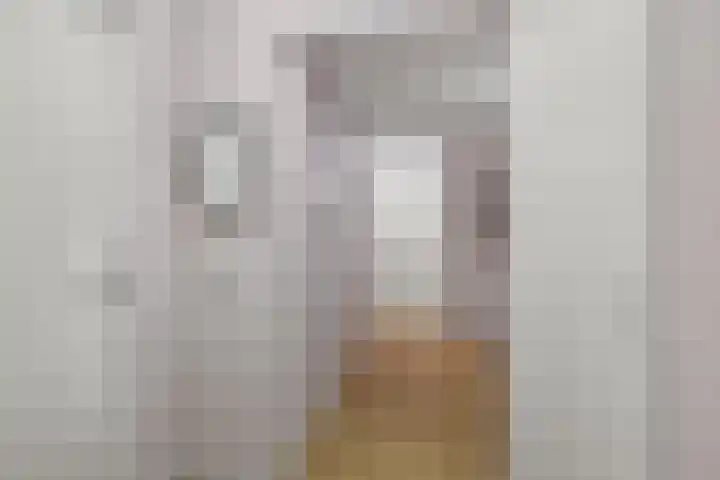 Van Tuyllstraat 25 L Hooglanderveen thumbnail 41