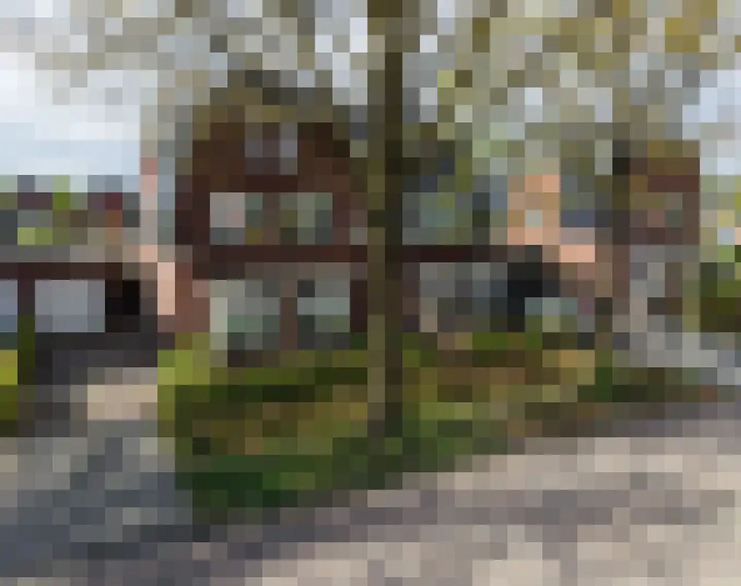 Van Tuyllstraat 56 Hooglanderveen thumbnail 10