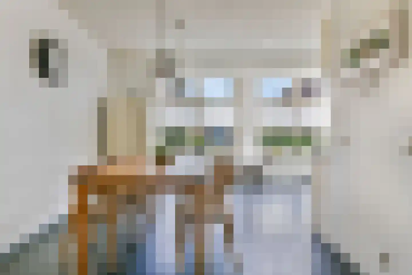 Van Tuyllstraat 56 Hooglanderveen thumbnail 13