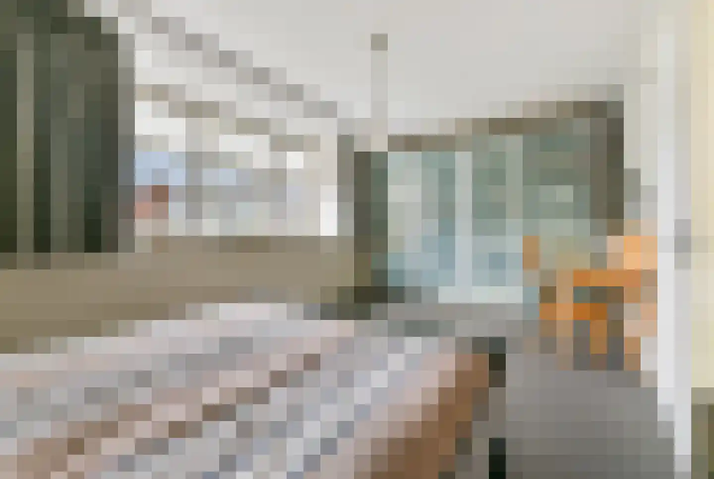 Van Tuyllstraat 56 Hooglanderveen thumbnail 29