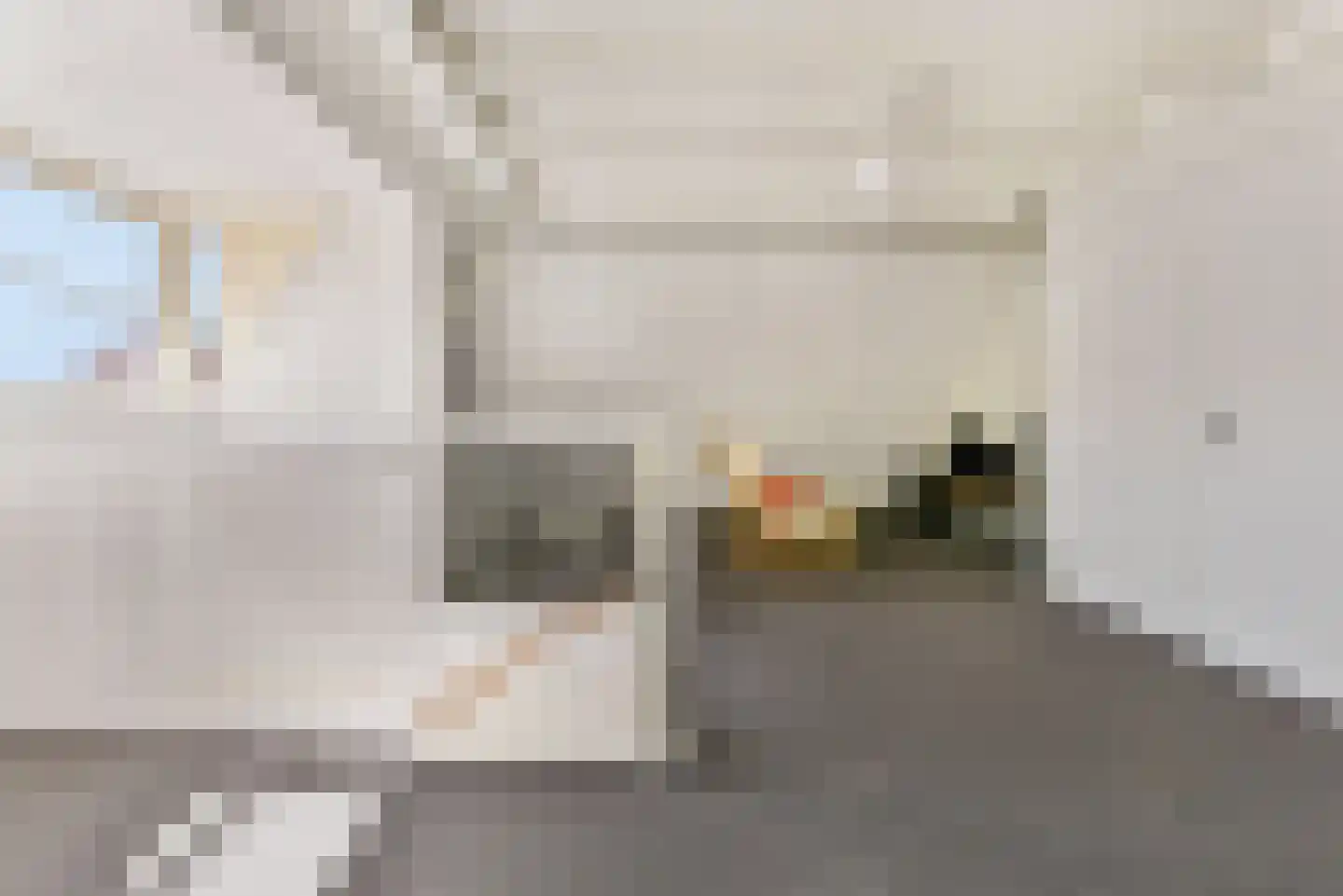 Van Tuyllstraat 56 Hooglanderveen thumbnail 37