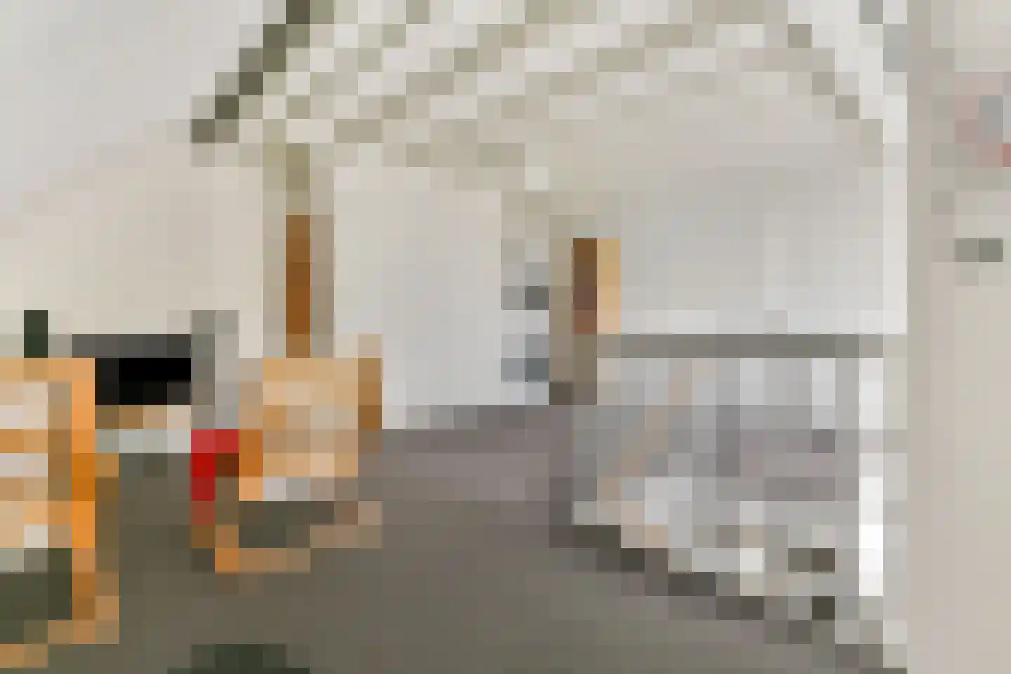 Van Tuyllstraat 56 Hooglanderveen thumbnail 39