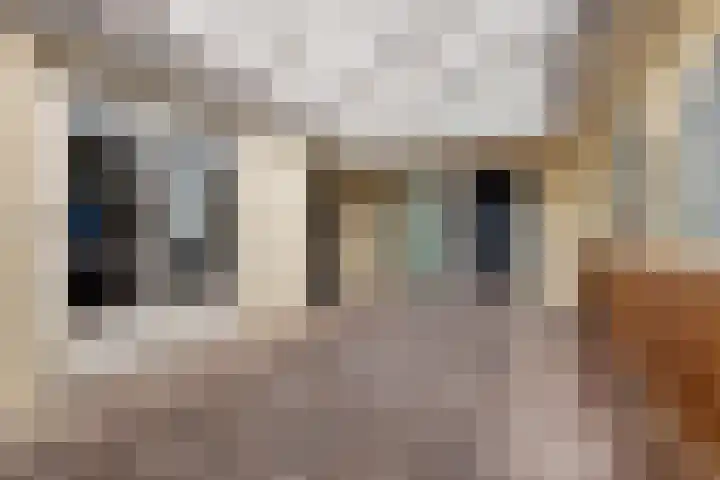 Van Tuyllstraat 67 Hooglanderveen thumbnail 14