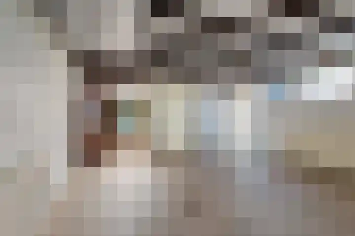 Van Tuyllstraat 67 Hooglanderveen thumbnail 17