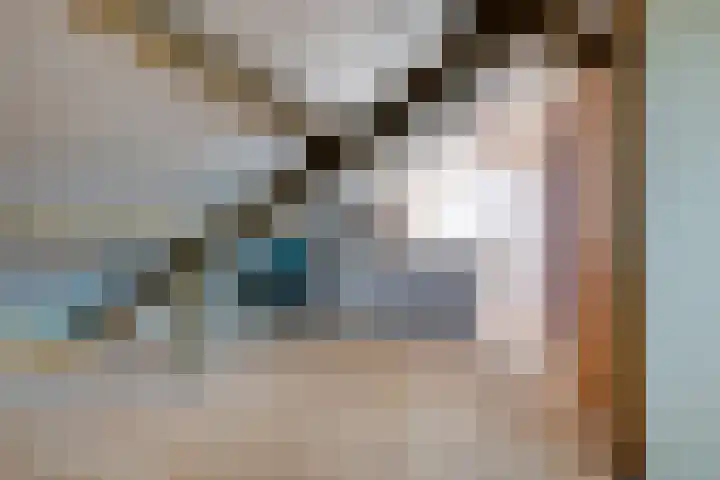 Van Tuyllstraat 67 Hooglanderveen thumbnail 28