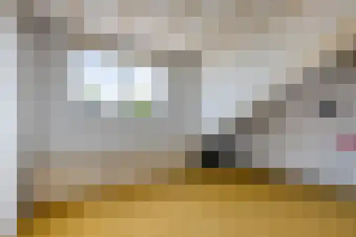 Van Tuyllstraat 67 Hooglanderveen thumbnail 32