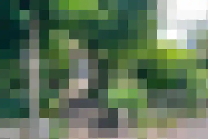 Van Tuyllstraat 67 Hooglanderveen thumbnail 35