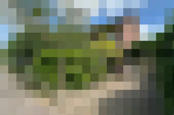 Van Tuyllstraat 67 Hooglanderveen thumbnail 37