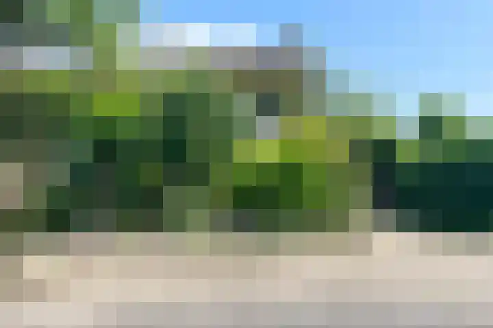 Van Tuyllstraat 67 Hooglanderveen thumbnail 38