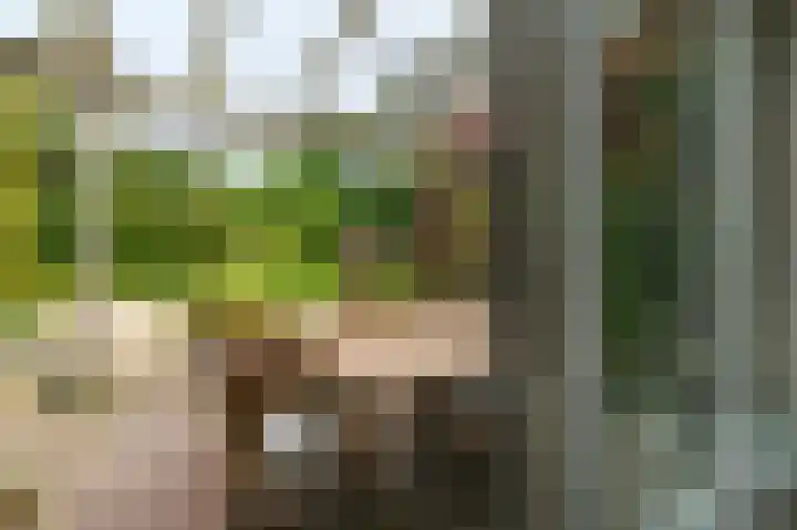 Van Tuyllweg 33 Velsen-Zuid thumbnail 39