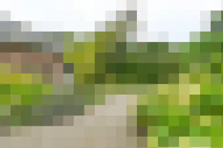 Van Tuyllweg 33 Velsen-Zuid thumbnail 41