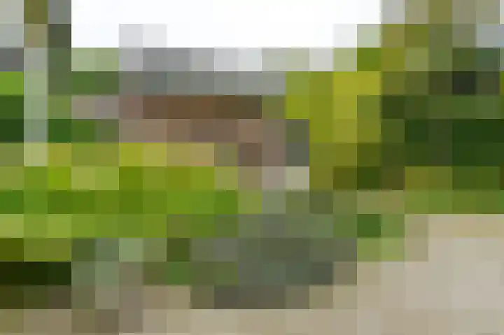 Van Tuyllweg 33 Velsen-Zuid thumbnail 42