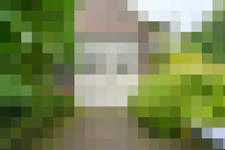 Van Tuyllweg 33 Velsen-Zuid thumbnail 49