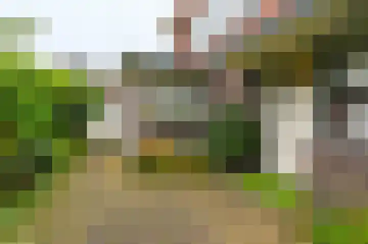 Van Tuyllweg 33 Velsen-Zuid thumbnail 50