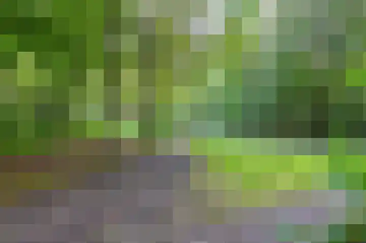 Van Tuyllweg 33 Velsen-Zuid thumbnail 55