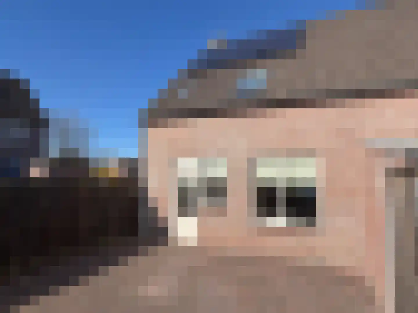 van Twickelolaan 110 Coevorden thumbnail 11