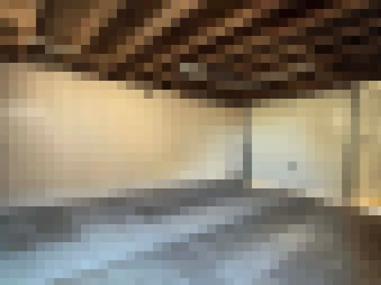 van Twickelolaan 110 Coevorden thumbnail 12