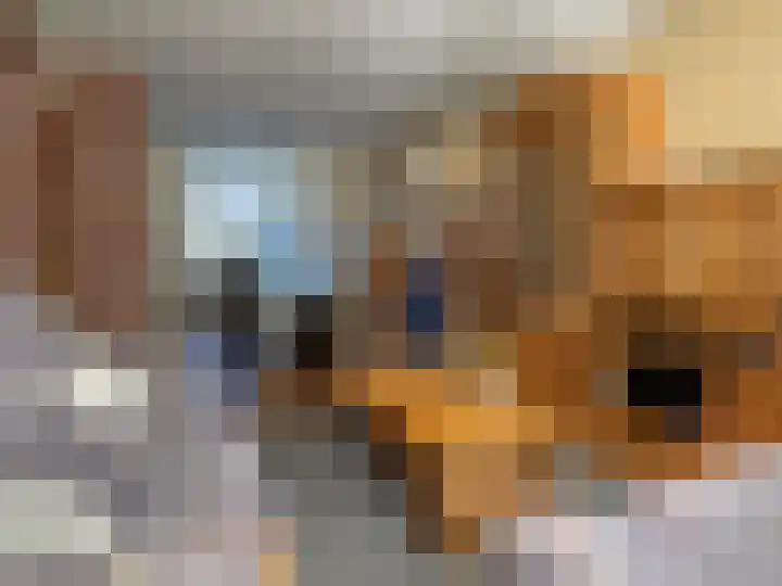van Twickelolaan 23 Coevorden thumbnail 4