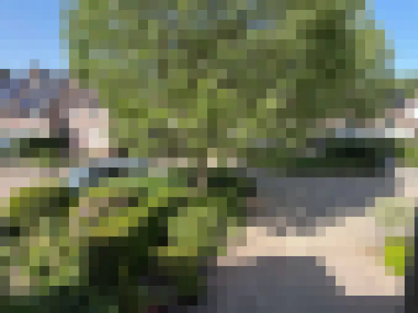van Twickelolaan 32 Coevorden thumbnail 27