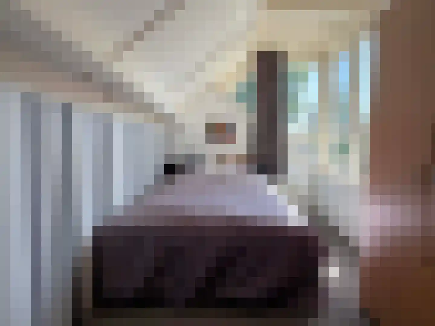 van Twickelolaan 32 Coevorden thumbnail 30