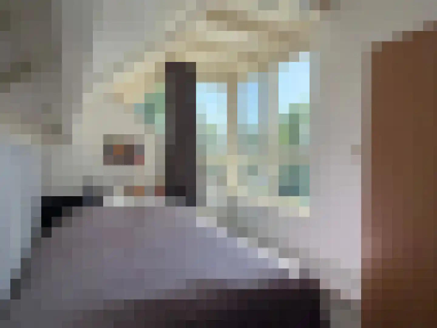 van Twickelolaan 32 Coevorden thumbnail 31