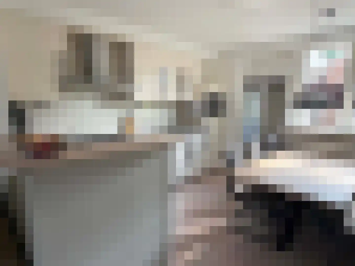 van Twickelolaan 88 Coevorden thumbnail 15