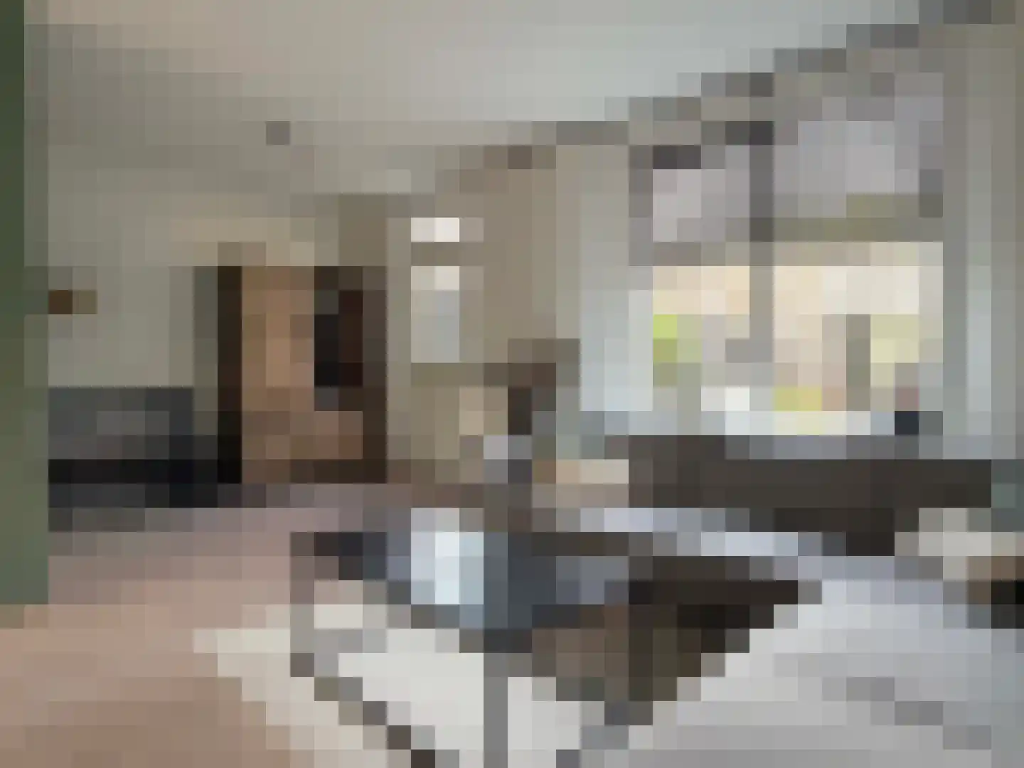 van Twickelolaan 88 Coevorden thumbnail 4