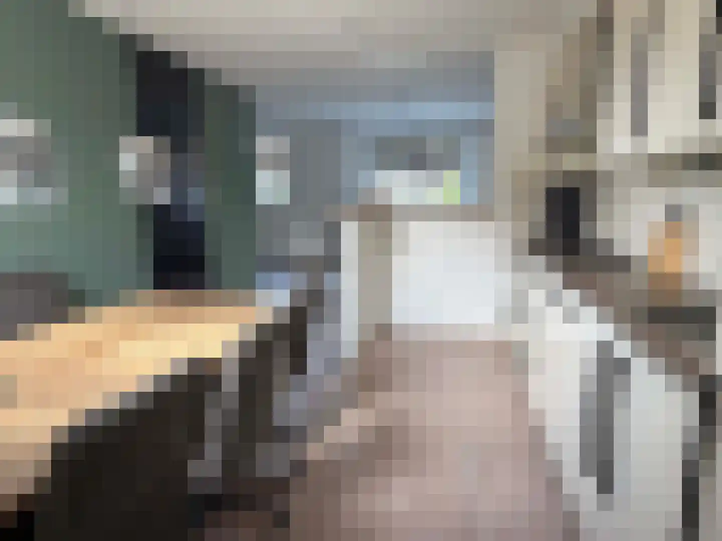 van Twickelolaan 88 Coevorden thumbnail 5