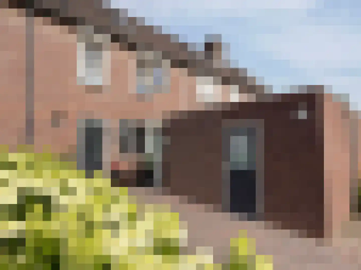 van Twickelolaan 88 Coevorden thumbnail 6