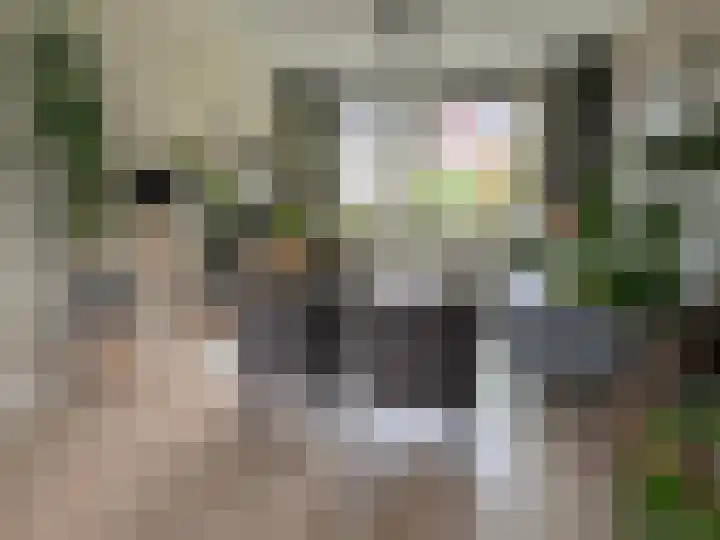 van Twickelolaan 98 Coevorden thumbnail 17