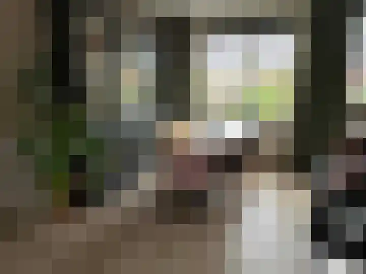 van Twickelolaan 98 Coevorden thumbnail 18