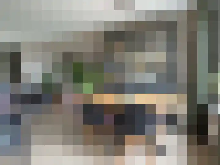 van Twickelolaan 98 Coevorden thumbnail 21