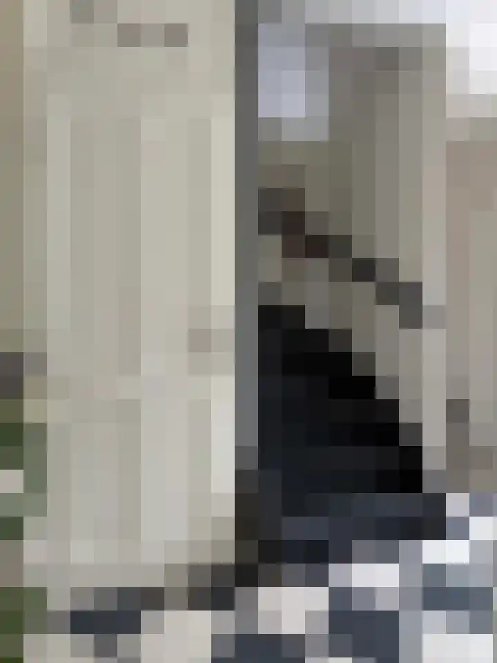 van Twickelolaan 98 Coevorden thumbnail 24