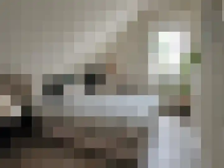 van Twickelolaan 98 Coevorden thumbnail 25
