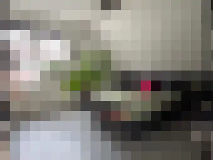 van Twickelolaan 98 Coevorden thumbnail 26