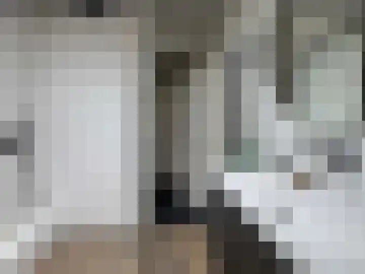 van Twickelolaan 98 Coevorden thumbnail 28